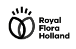 appical-royal-flora.png